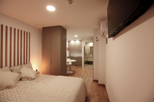 Very neat studio in Baixa de Santa Clara