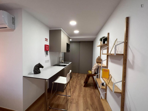 Stunning studio in Baixa de Santa Clara