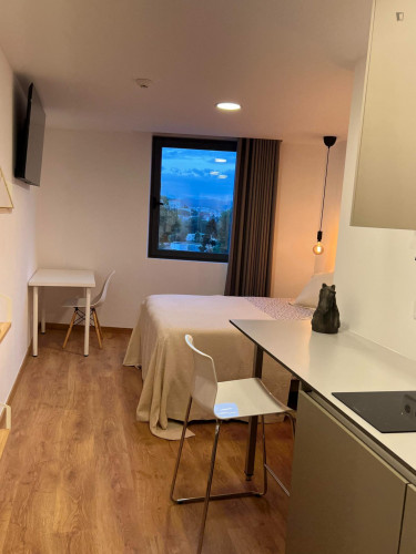 Stunning studio in Baixa de Santa Clara