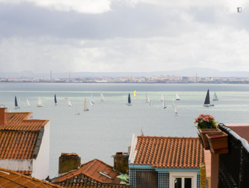 Bright 1-bedroom flat in Lisbon - Gallery - 7