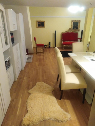 Homely 1-bedroom next to the Opera House,close to Veterinary uni. - Gallery - 12