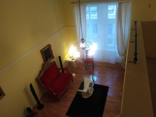 Homely 1-bedroom next to the Opera House,close to Veterinary uni.