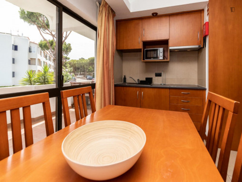 Nice 1-bedroom flat in Faro - Gallery - 9