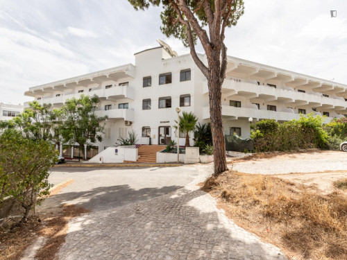 Nice 1-bedroom flat in Faro - Gallery - 18