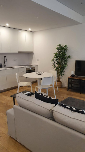 Large studio near the Aveiro train station
