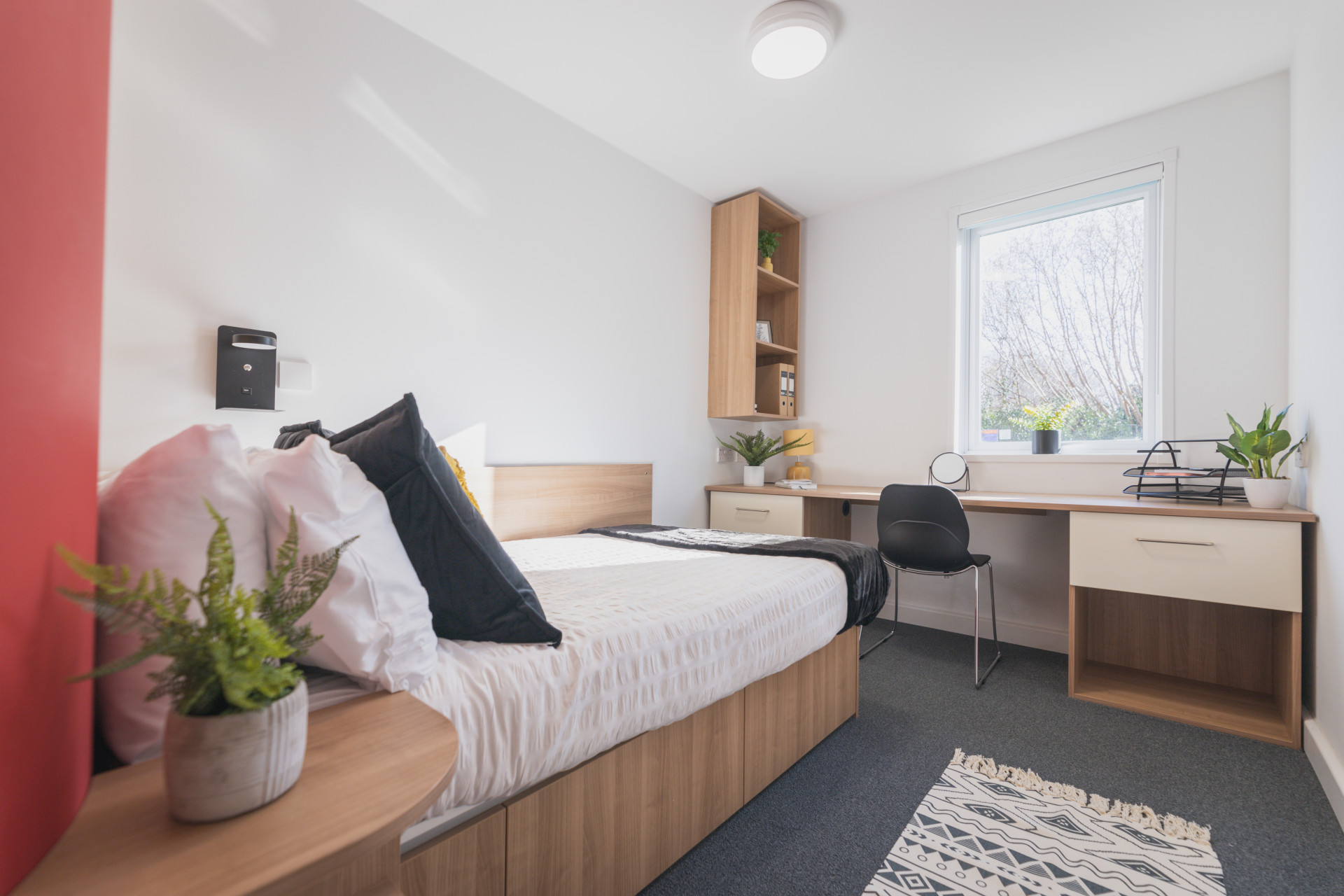 Second Floor Six Bed Cluster - The Park - Gallery - 32