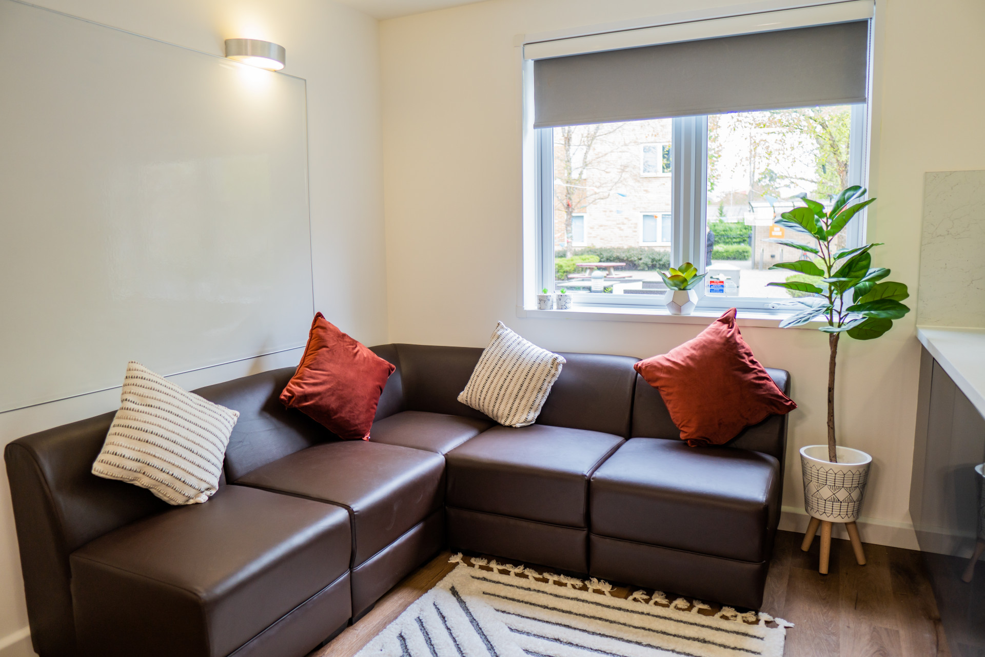 Third Floor Five Bed Cluster - The Park - Gallery - 7