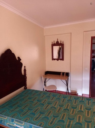 O-Delightful single bedroom in Baixa de Santa Clara  - Gallery -  2