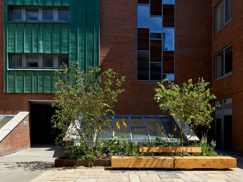Blackhall Place - Gallery - 11