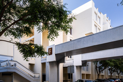 Comfortable 1-bedroom flat in near the Tróia beach  - Gallery -  5