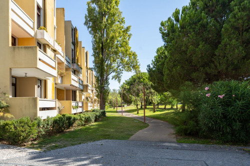 Comfortable 1-bedroom flat in near the Tróia beach