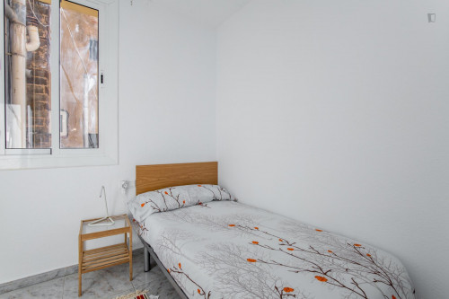 Delightful single bedroom close to the Liceu metro