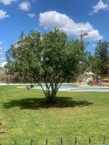 Awesome 1-bedroom apartment close to Praia da Rocha