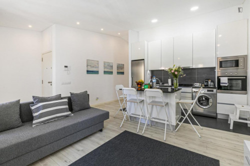 Sunny 1 bedroom apartment near Saldanha with a sofa-bed - Gallery - 11