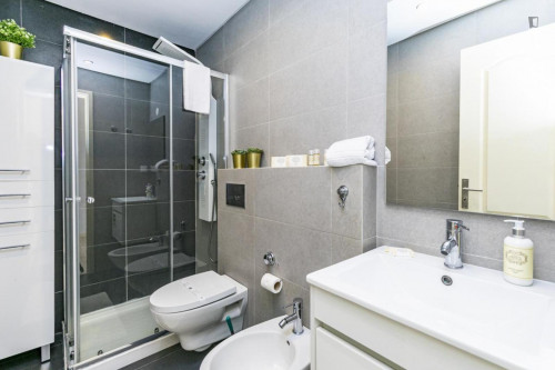 Sunny 1 bedroom apartment near Saldanha with a sofa-bed