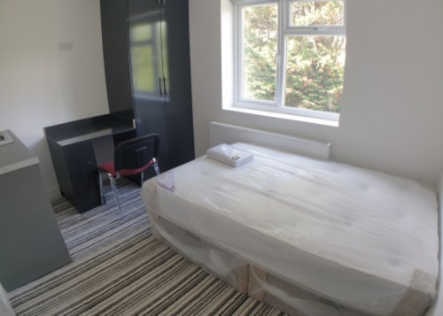 Napier Road  - Gallery -  4