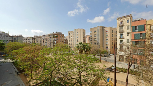 Charismatic single bedroom near Parc de la Ciutadella  - Gallery -  2