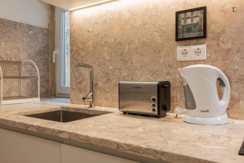 Delightful 1-bedroom flat in Graça - Gallery - 12