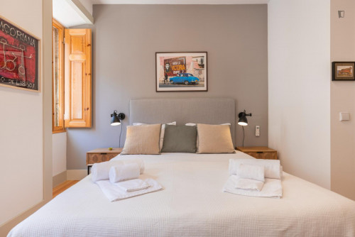 Delightful 1-bedroom flat in Graça - Gallery - 21