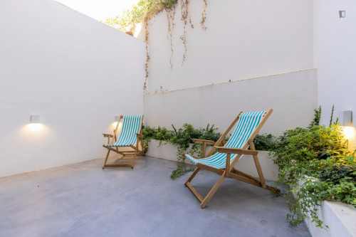 Delightful 1-bedroom flat in Graça