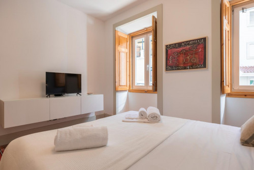 Delightful 1-bedroom flat in Graça - Gallery - 24