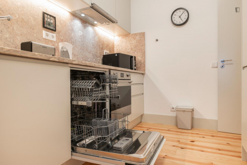 Delightful 1-bedroom flat in Graça - Gallery - 7