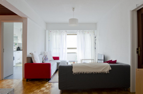Double bedroom with simple décor near Telheiras metro - Gallery - 23