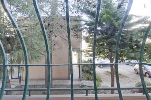 Double bedroom with simple décor near Telheiras metro - Gallery - 25
