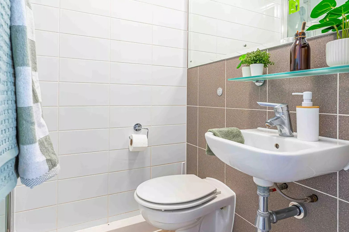  Silver Studio Premium  -  Sterling Court - Flexible Tenancies  - Gallery -  14