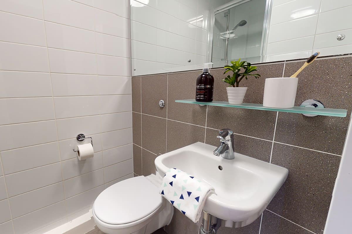 Bronze Ensuite - 5
