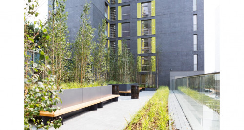 Londonist Chapter Lewisham - Flexible Tenancies