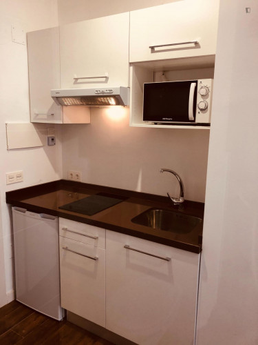 Studio near Puente Romano