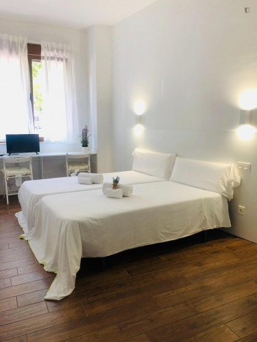 Studio near Puente Romano