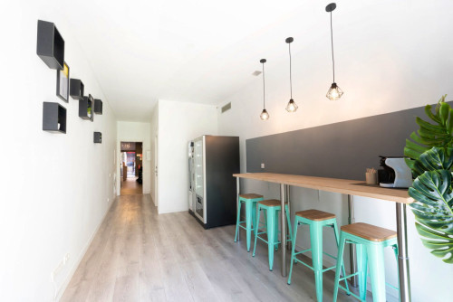 Vibrant apartment near Placeta del Pi