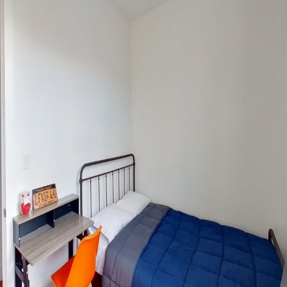  Private Room  -  Spacious Bright Apt. w/ Terrace  - Gallery -  5