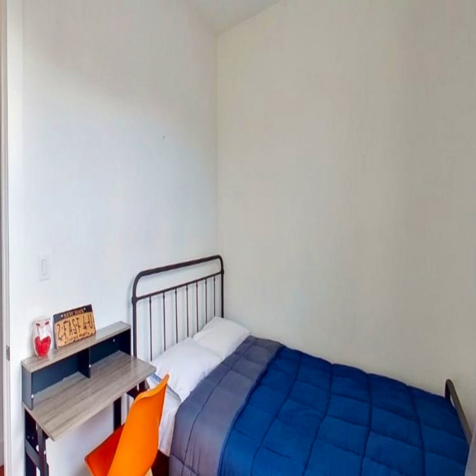  Private Room  -  Spacious Bright Apt. w/ Terrace  - Gallery -  9