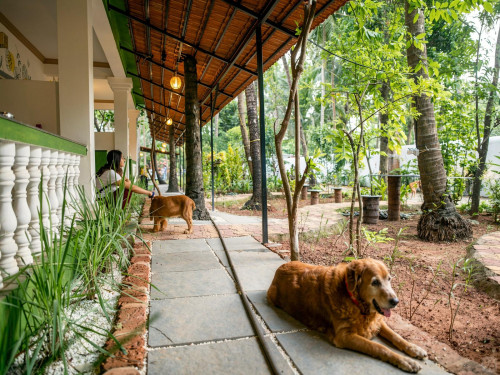 Candolim Home