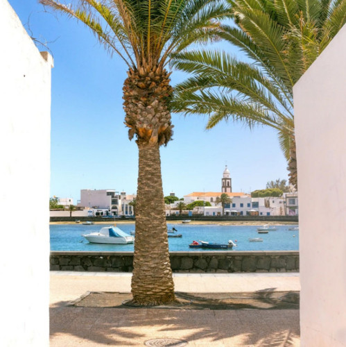 Stunning Vibrant House w/ Workspaces + Community Events