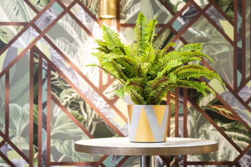 22 Upperton Road - Gallery - 20
