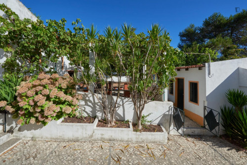Neat single bedroom in a 5-bedroom flat, near Instituto Superior de Agronomia - Gallery - 7