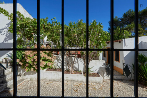 Neat single bedroom in a 5-bedroom flat, near Instituto Superior de Agronomia - Gallery - 6