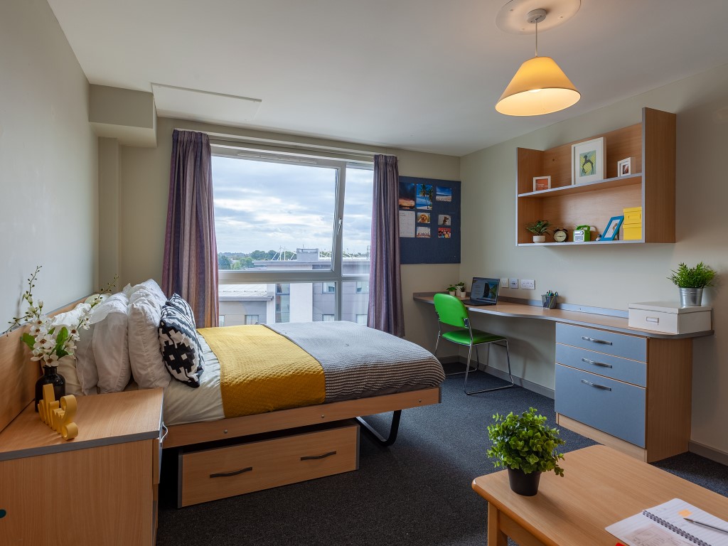  Classic Studio  -  Filbert Village  - Gallery -  1