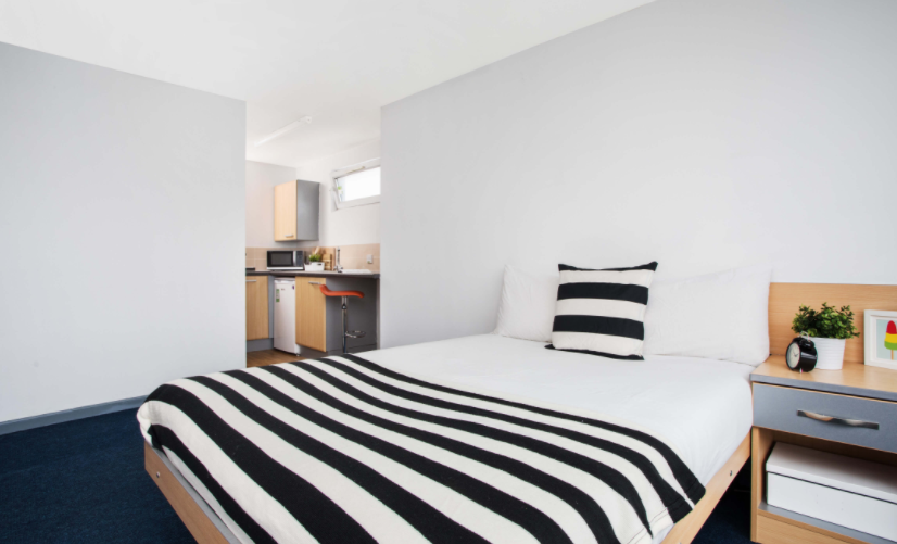  Premium One Bedroom Flat  -  Filbert Village  - Gallery -  3