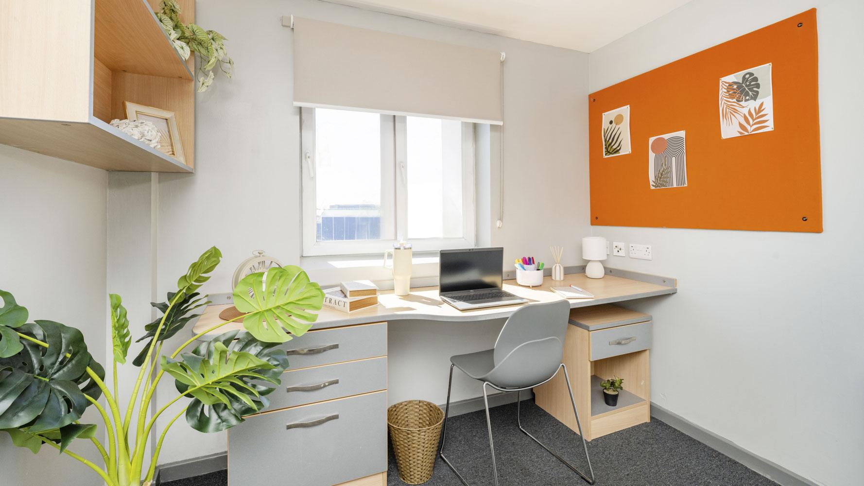  Premium Plus En-Suite  -  Filbert Village  - Gallery -  5