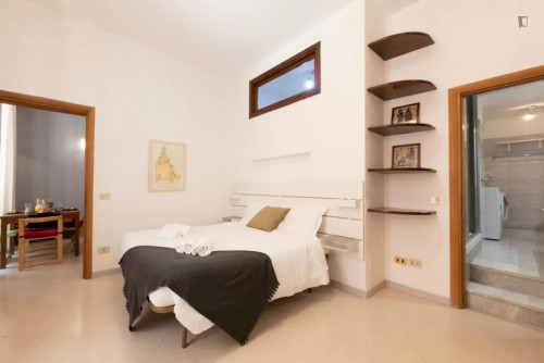 Welcoming one-bedroom apartment with sofa bed near Villa Borghese