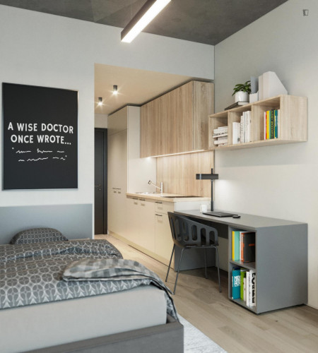 Neat studio in a residence in Vilnius