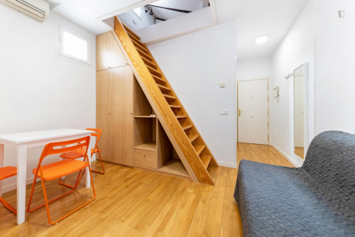 DUPLEX 2 HABITACIONES LAVAPIES - Gallery - 5