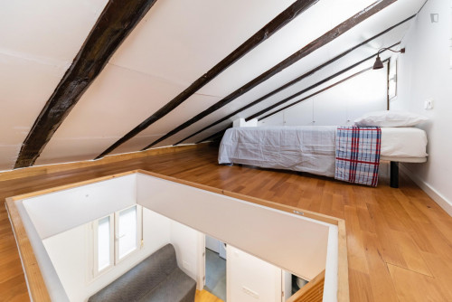 DUPLEX 2 HABITACIONES LAVAPIES - Gallery - 12