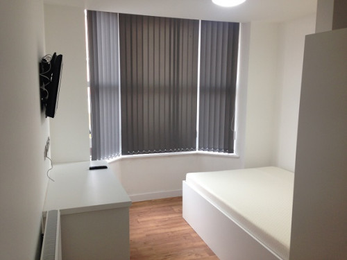 44 Wilberforce Road - Gallery - 11