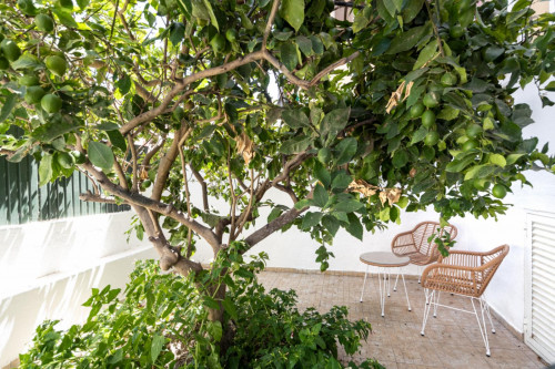 Amazing 2-bedroom flat with a back patio, in Xabregas